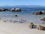 Boulders Beach